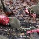 Image for article titled The Most Insulting Holiday Gift You've Ever Received